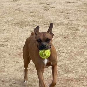 Meet your Posher, Peggy